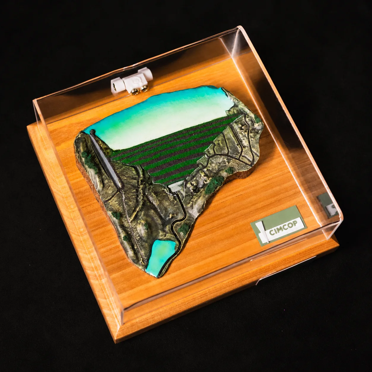 Miniatura Prêmium